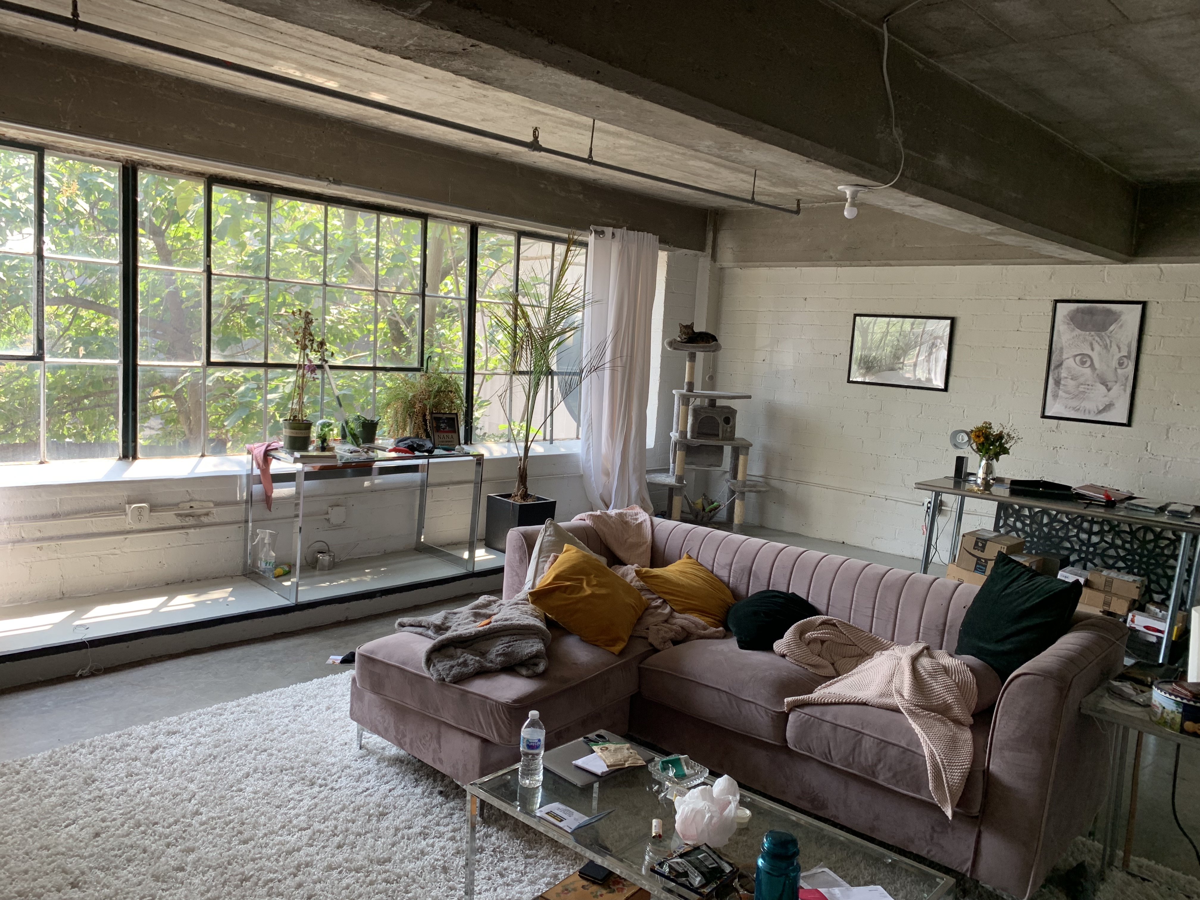 Freeman Ford Lofts